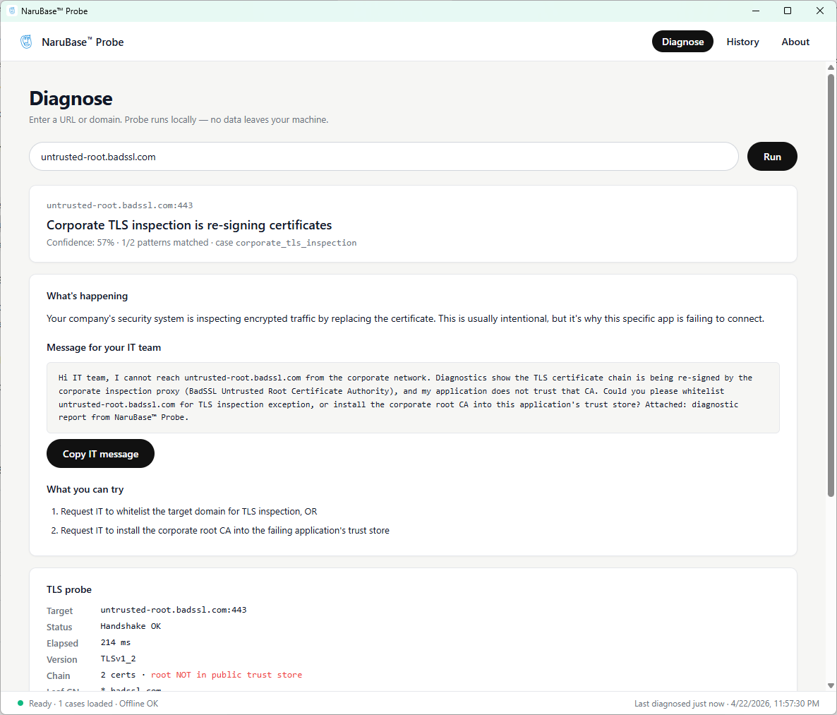 NaruBase™ Probe running a local DNS and TLS diagnosis and producing a plain-language report